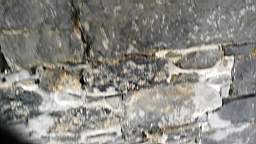acastle
                          110995.jpg